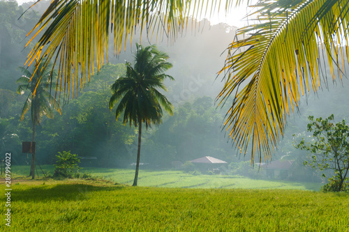 Philippines. Beautiful landscapes of the islands.