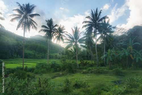 Fototapeta Naklejka Na Ścianę i Meble -  Philippines. Beautiful landscapes of the islands.