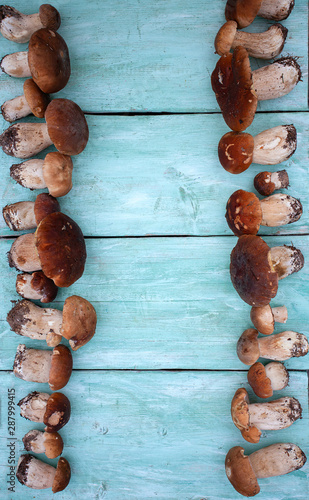 fresh mushrooms on wooden surface
