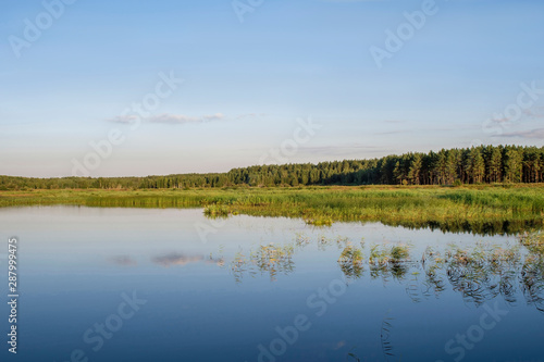 Summer desert landscape with swampy terrain and pine forest in the distance. Background