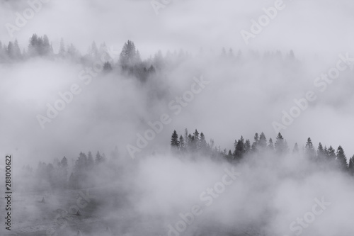 Landscape - Silhouette of foggy forest in mountains valley