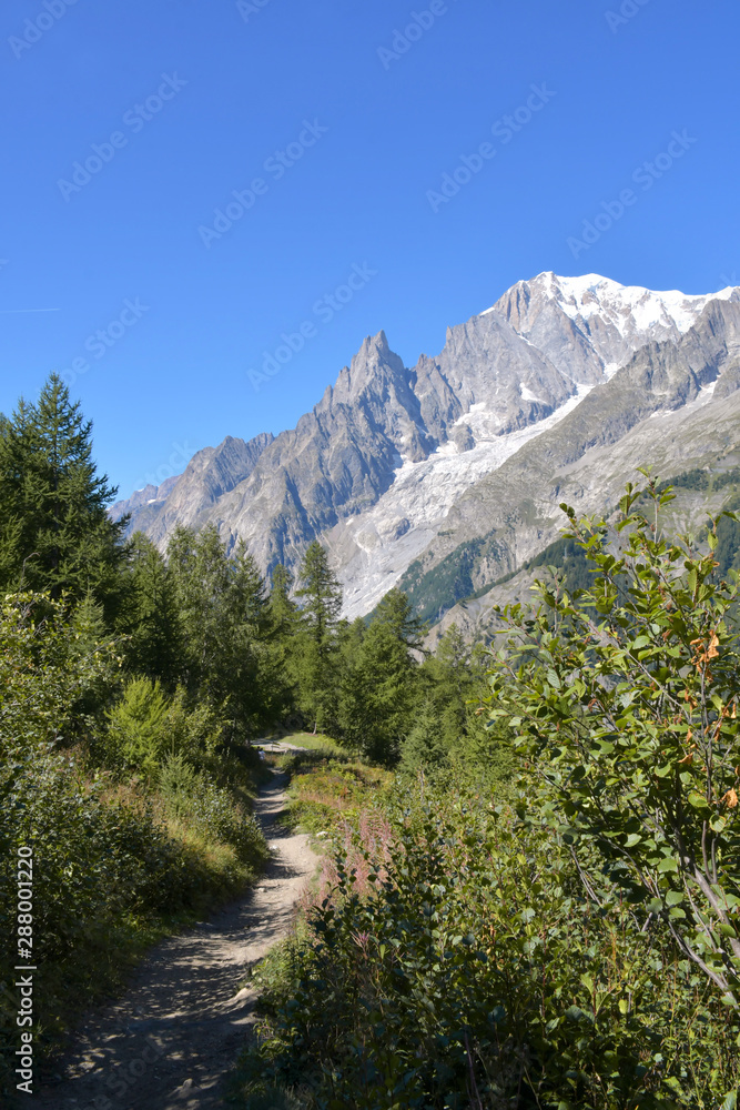 Il Monte Bianco visto dalla val Ferret. Il Monte Bianco visto dalla val Ferret.