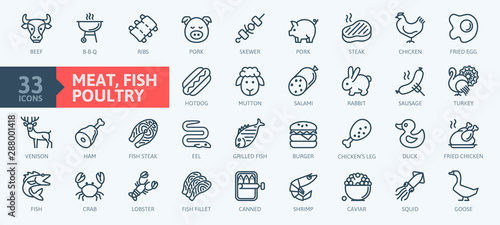 Meat, poultry, fish and eggs - minimal thin line web icon set. Outline icons collection.Simple vector illustration.