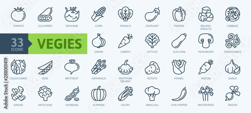 Vegetarian, vegetable, veggies - minimal thin line web icon set. Included the simple vector icons as tomato, cucumber, kohlrabi, cauliflower, pattypan squash, fiddleheads,daikon. Outline icons collect photo