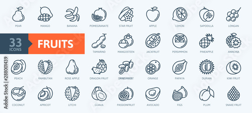 Fruits, exotic fruits, vegetarian - minimal thin line web icon set. Included the simple vector icons as mango, durian, rambutan, guava, tamarind, jackfruit. Outline icons collection. 