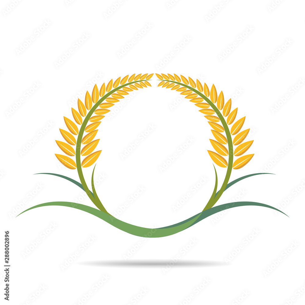 wheat on white and text, agricultural vector illustration wheat on white and text, agricultural vector illustration