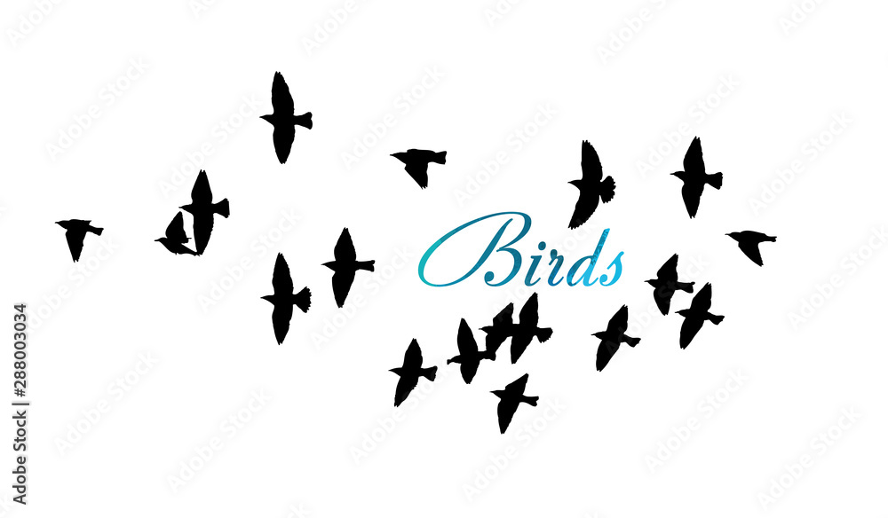 A flock of flying birds. Vector illustration A flock of flying birds. Vector illustration