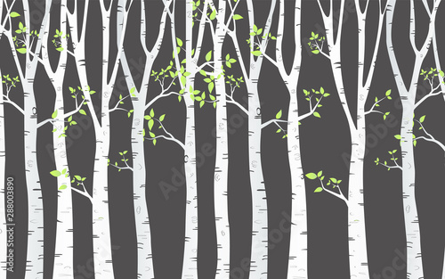 Birch Tree with deer and birds Silhouette Background