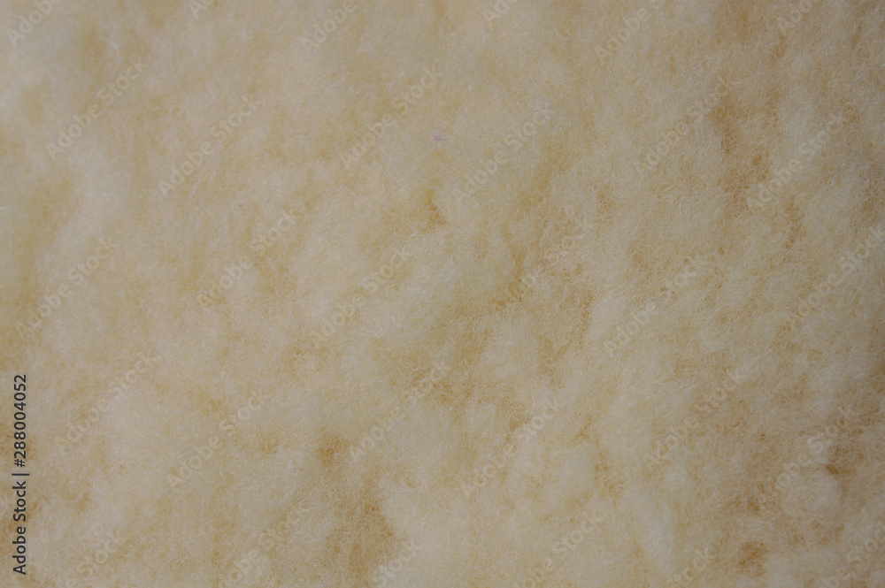 Fototapeta premium Schafswolle