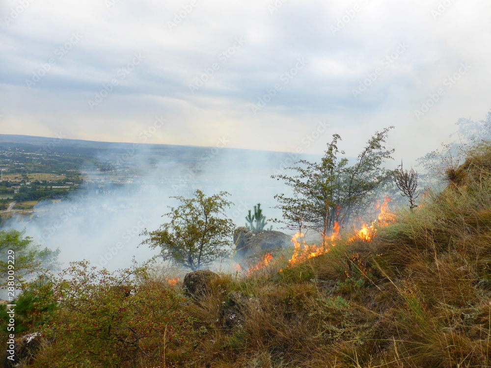 Obraz premium A fire in the woods