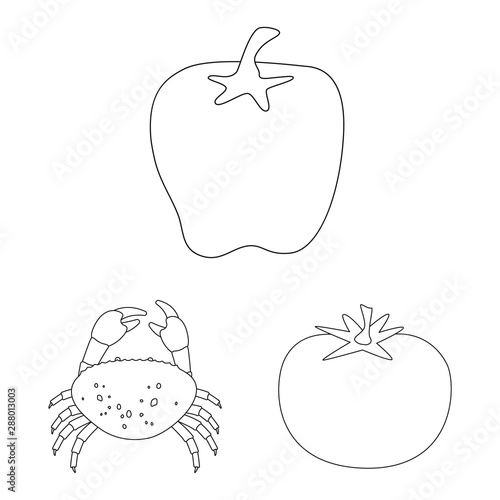 Vector design of seasonin and ingredient symbol. Set of seasonin and aroma stock symbol for web.