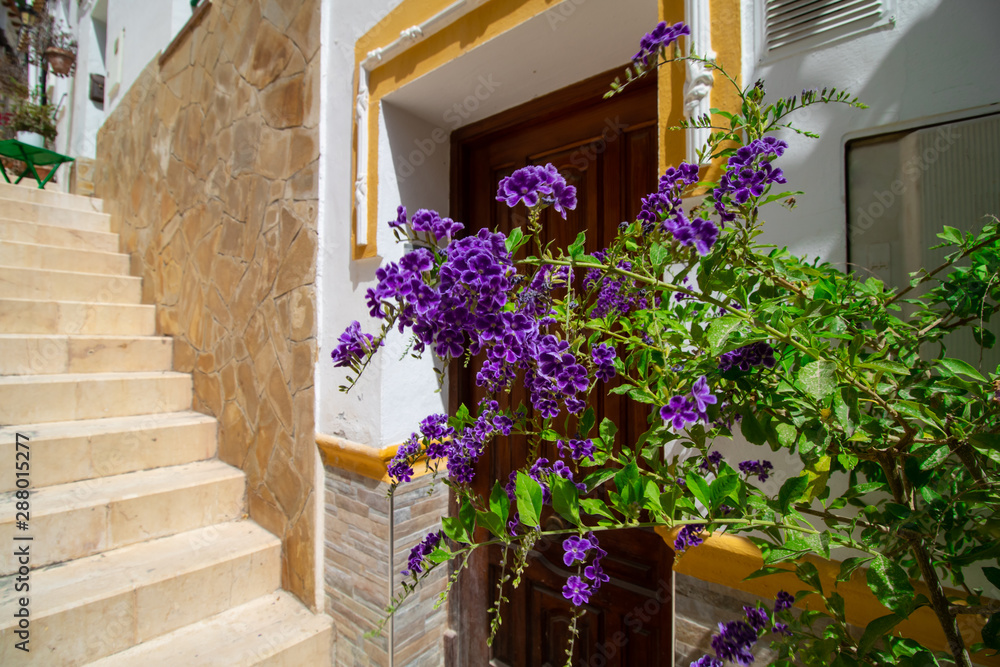 Fototapeta premium Traditional courtyard in the old sity of Spain. Bright flowers and steep stairs.