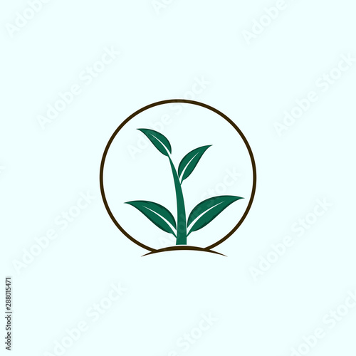 Fototapeta Naklejka Na Ścianę i Meble -  Leaf In Circle Growth Nature Simple Icon Logo Element Design Template