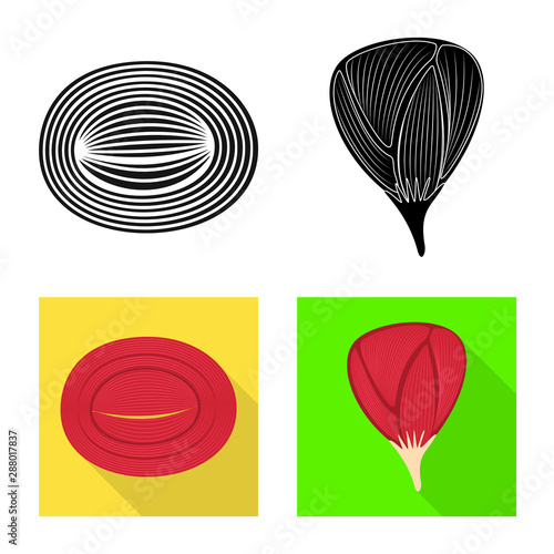 Isolated object of fiber and muscular symbol. Collection of fiber and body stock vector illustration.