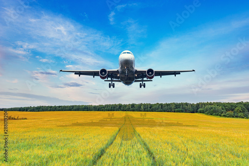 Landing of the passenger plane to the meadow.