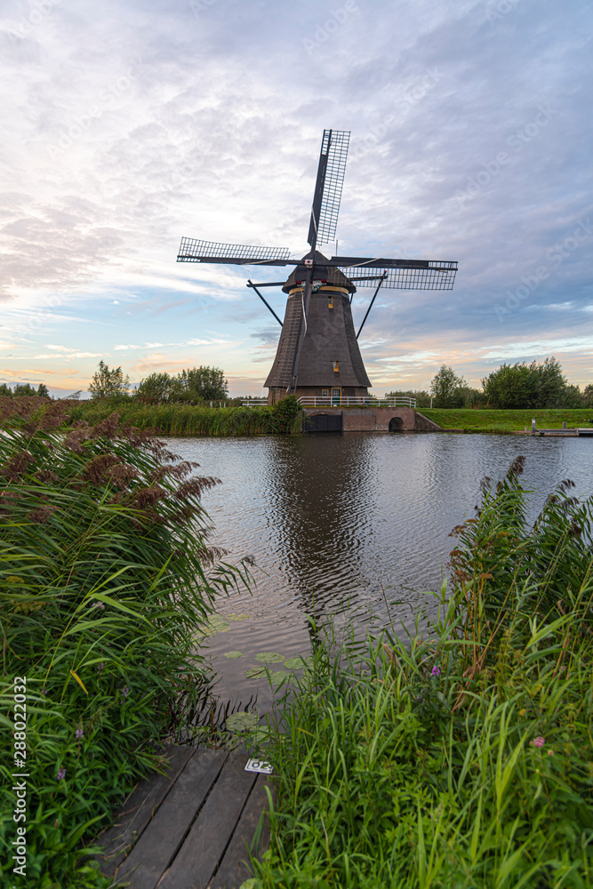 Dutch windmill laying along the canal with wild grass blown by strong winds at the early sunset moment