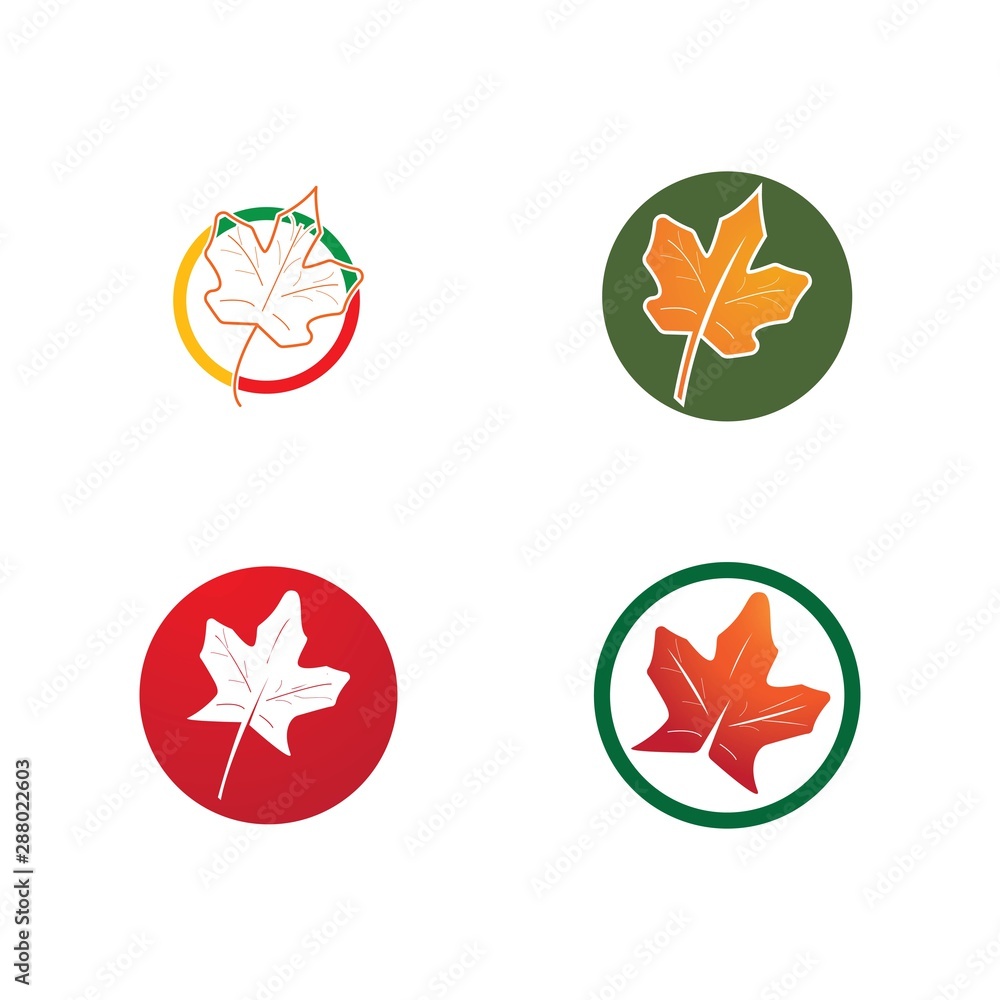 Autumn logo vector