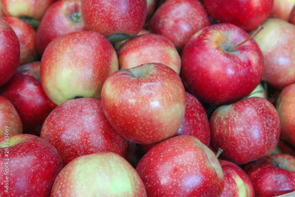 Selected apples at the farmer's market Selected apples at the farmer's market