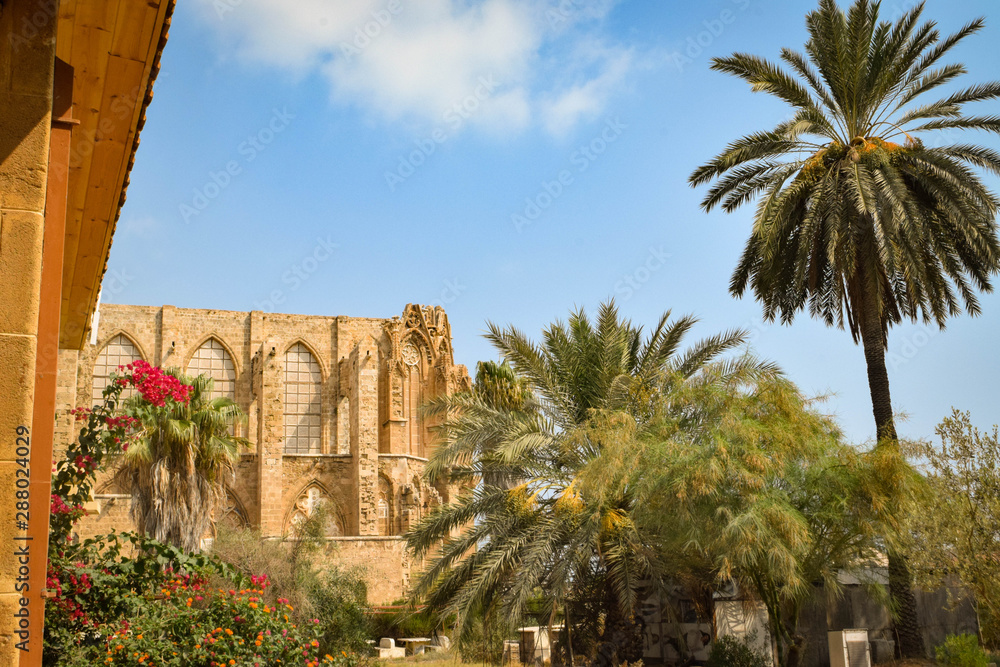 Obraz premium Paradise palm garden, Cyprus, Famagusta