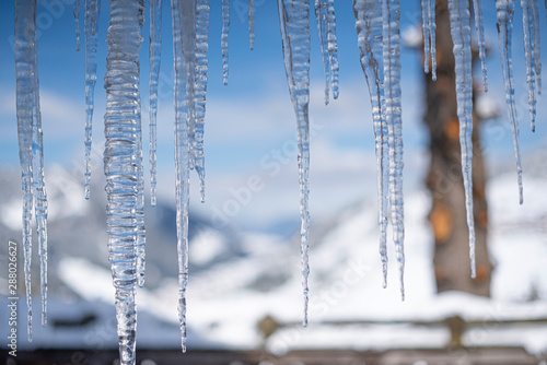 Icicles in Winter, frozen water, with Tree Trunk in the Background out of focus