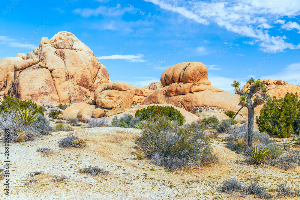 Sandstone formations at the Skull Rock Area.Joshua Tree National Park.California.USA Sandstone formations at the Skull Rock Area.Joshua Tree National Park.California.USA