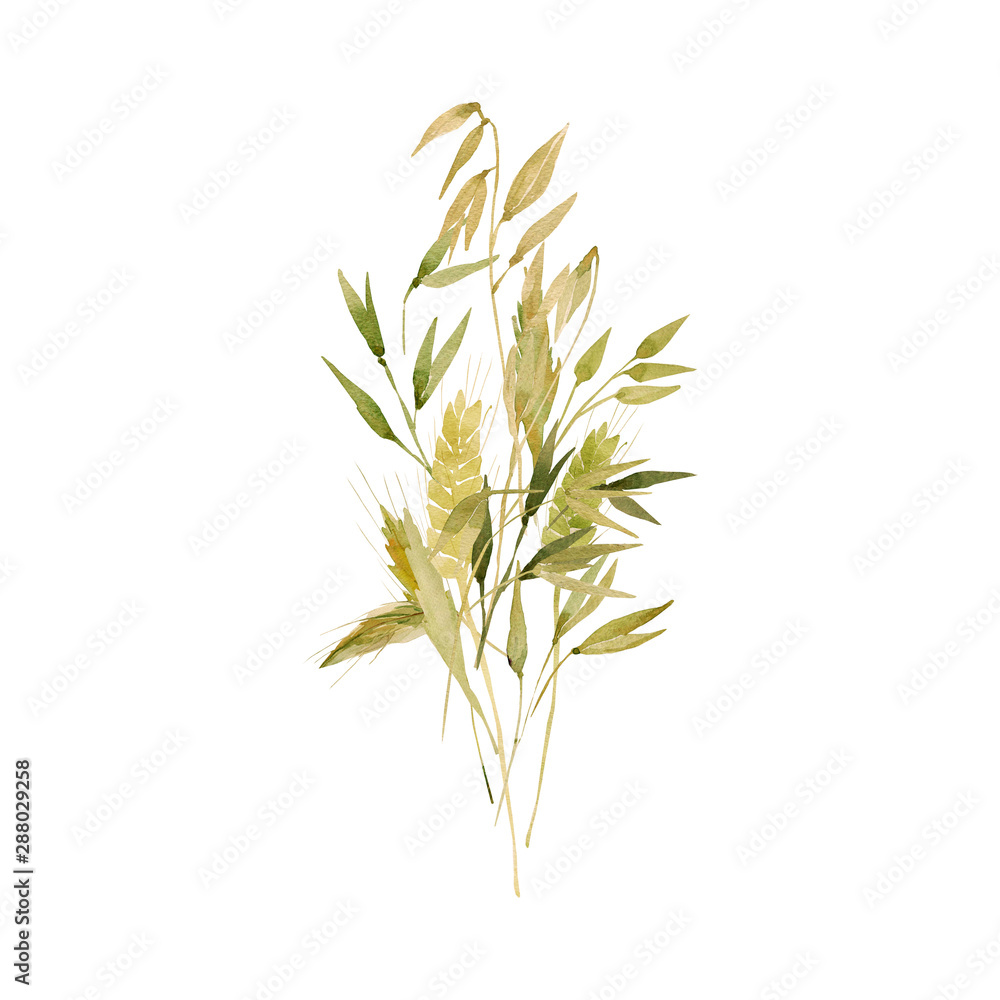 Watercolor wheat ears pattern.Image of ears of wheat on a white and colored background. Watercolor wheat ears pattern.Image of ears of wheat on a white and colored background.