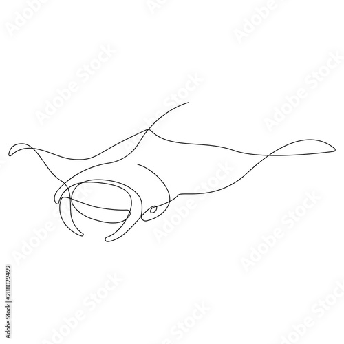 Manta ray illustration drawn by one line. Minimalist style vector illustration photo