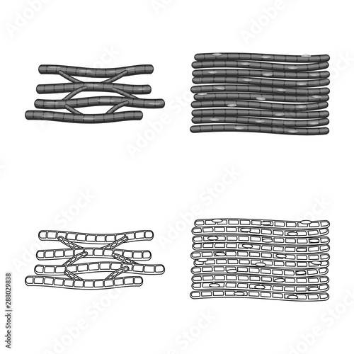 Isolated object of fiber and muscular logo. Set of fiber and body stock vector illustration.