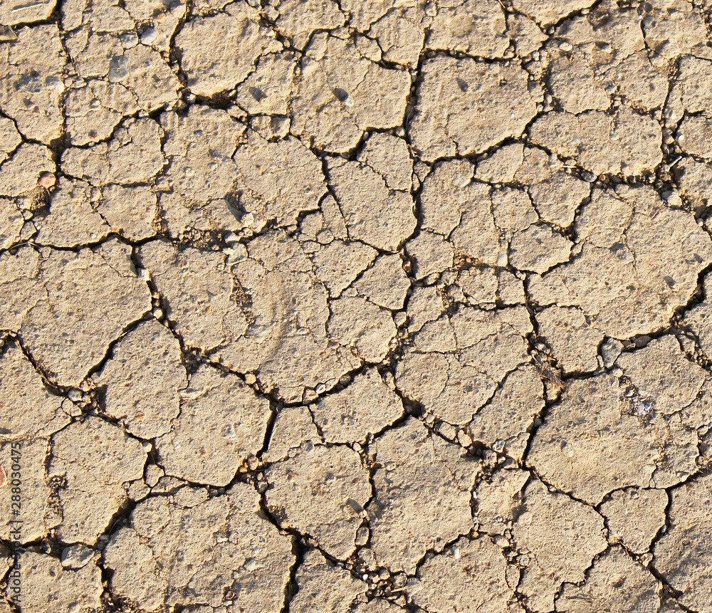 cracked earth texture, dry soil cracked earth texture, dry soil
