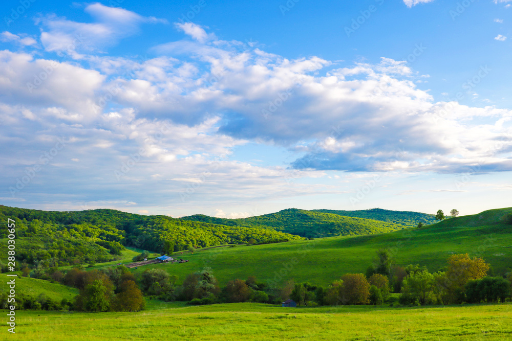 Scenic panoramic view of rolling countryside green farm fields with sheep, cow and green grass.