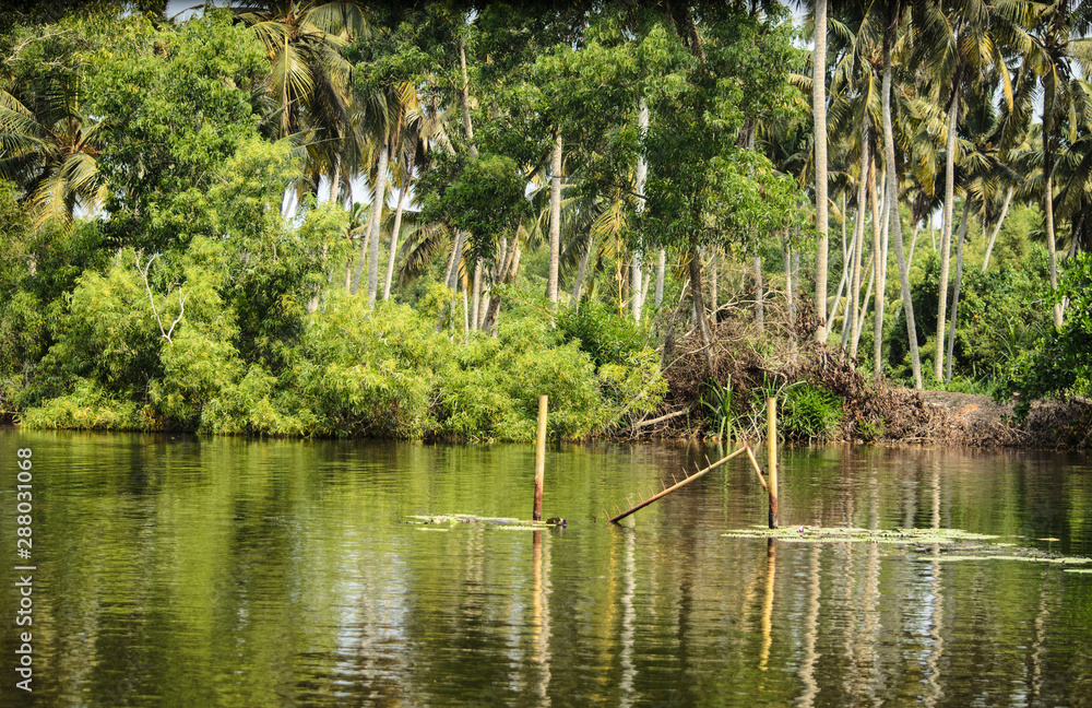 Obraz premium Shooting place backwaters