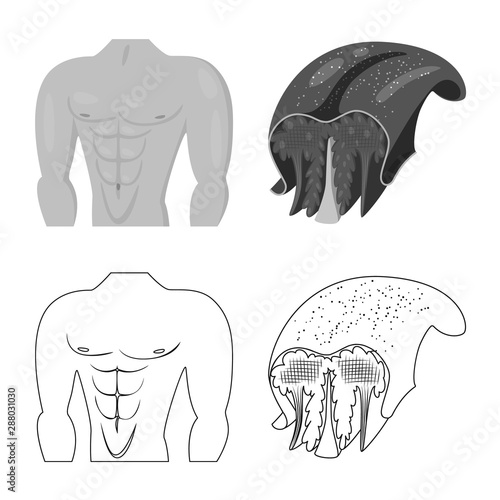 Isolated object of fiber and muscular symbol. Collection of fiber and body stock symbol for web.