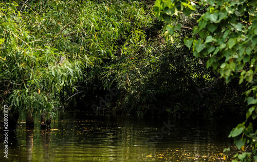 Shooting place backwaters