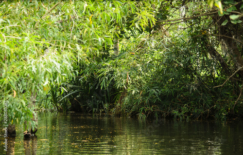 Shooting place backwaters