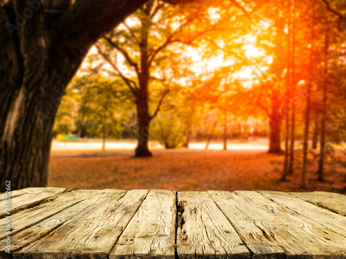 Wooden table top with autumn background. Empty space for decoration, text or products.