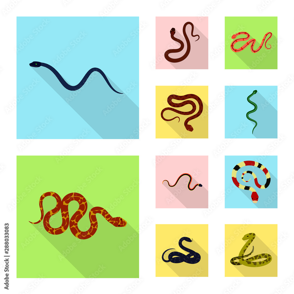 Isolated object of skin and reptile logo. Collection of skin and danger vector icon for stock. Isolated object of skin and reptile logo. Collection of skin and danger vector icon for stock.