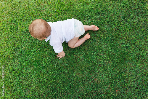 Adorable little baby crawling on green grass