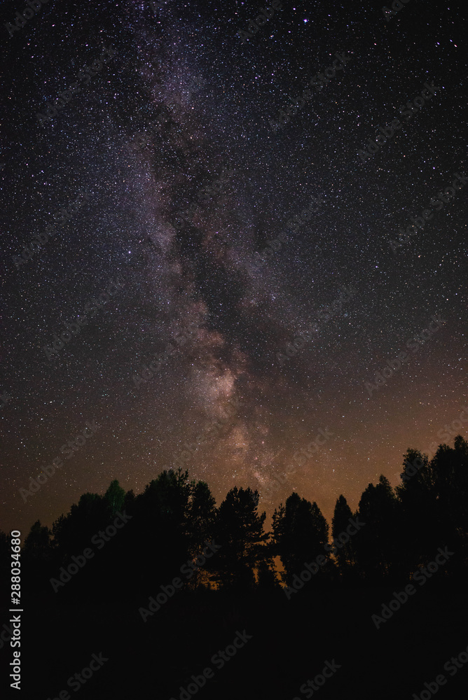 Night sky with milky way over the forest summer night Night sky with milky way over the forest summer night