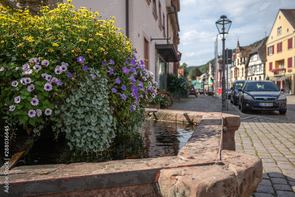Fototapeta premium Zell am Harmersbach Schwarzwald