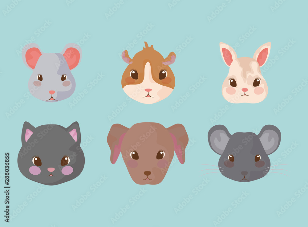 group of cute baby animals group of cute baby animals
