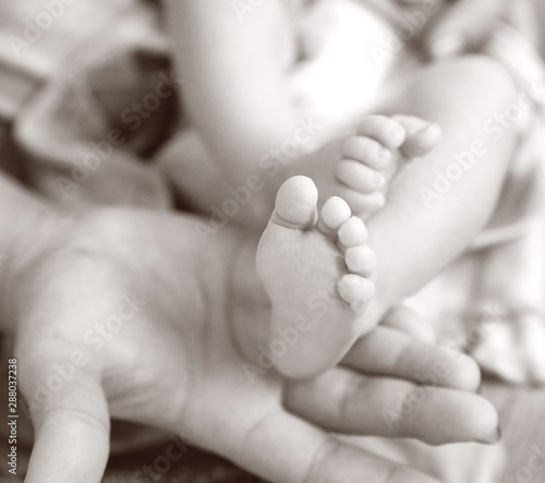 Infant heels in  mother's  hand