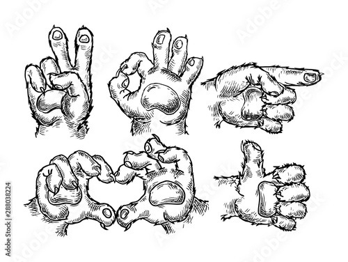 Cat paw sign set. Pointing, okay, victory gesture. Vector vintage engraving