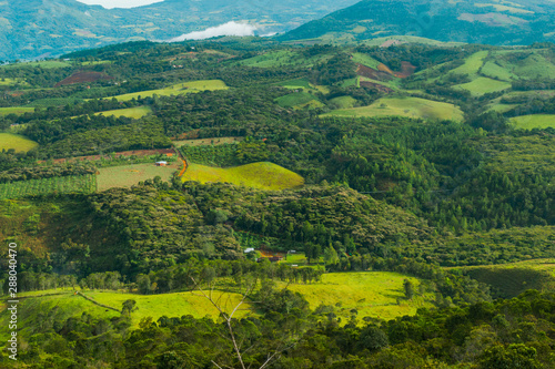 COLOMBIAN COFFEE LANDSCAPE