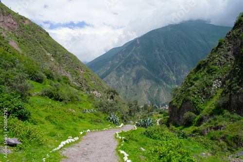 in the greenish mountains of the jungle