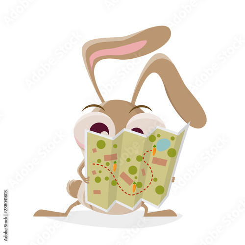 funny cartoon illustration of a crazy rabbit reading a map
