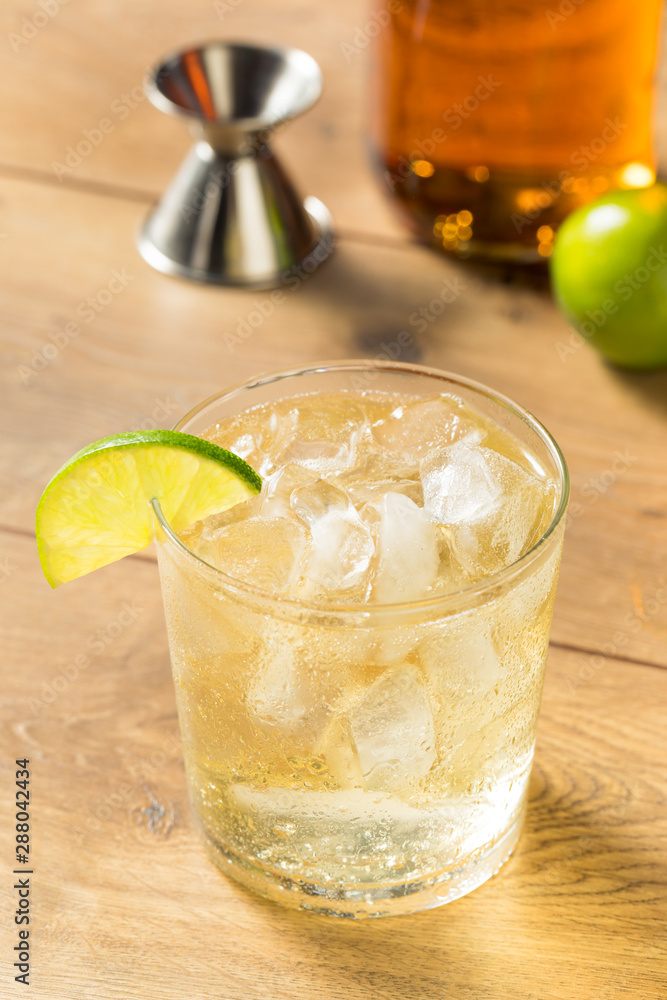 Homemade Rum and Tonic Cocktail Homemade Rum and Tonic Cocktail