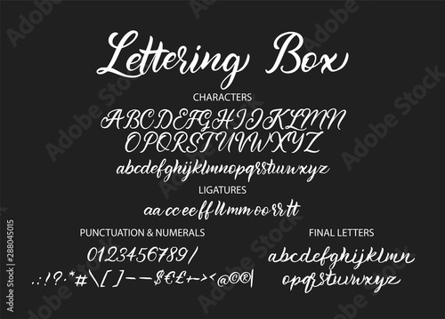 Cute hand drawn vector alphabet ABC font with letters, numbers, symbols. For calligraphy, lettering, hand made quotes.