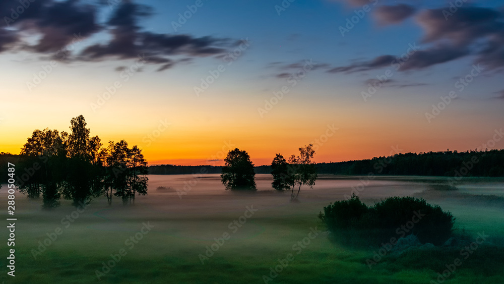 Zmierzch nad zamgloną łąką w Białowieży