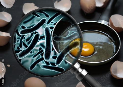 The concept of bacteria in the egg and is magnified by a magnifying glass salmonellosis infection photo