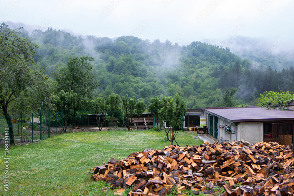 wooden logs in the forest. Green landscape, rural life in the mountanious region